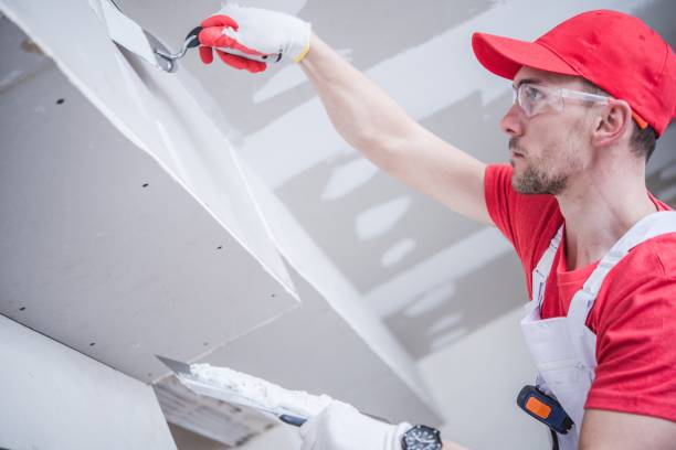 Best Drywall Sanding and Smoothing  in Downs, IL